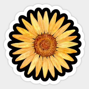 Watercolor sunflower illustration Sticker